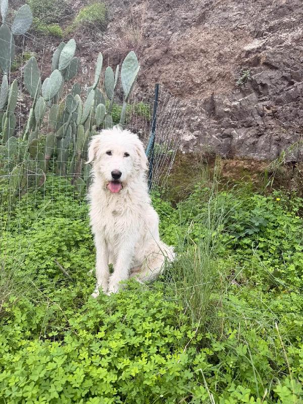 STUPENDA NUVOLA IN REGALO Foto 2